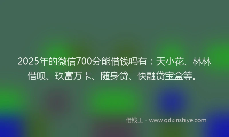 2025年的微信700分能借钱吗有：天小花、林林借呗、玖富万卡、随身贷、快融贷宝盒等。