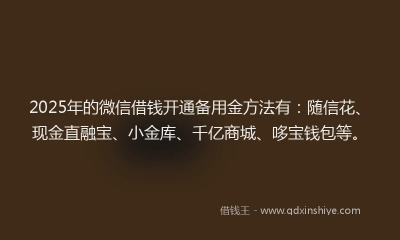 2025年的微信借钱开通备用金方法有：随信花、现金直融宝、小金库、千亿商城、哆宝钱包等。