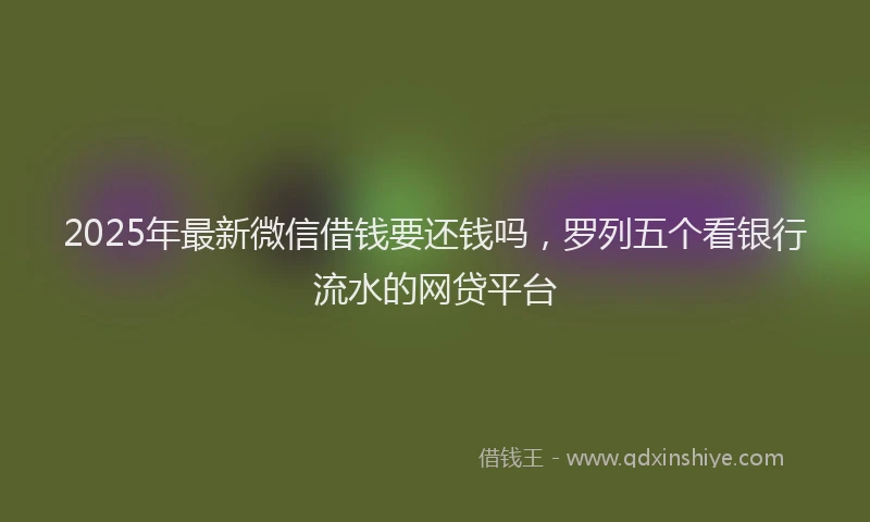 2025年最新微信借钱要还钱吗，罗列五个看银行流水的网贷平台