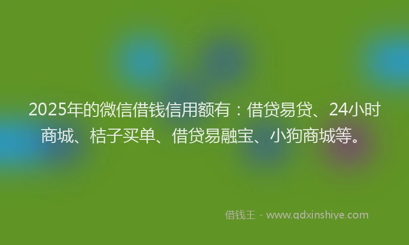 2025年的微信借钱信用额有：借贷易贷、24小时商城、桔子买单、借贷易融宝、小狗商城等。