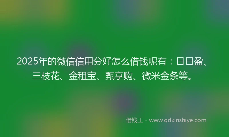 2025年的微信信用分好怎么借钱呢有：日日盈、三枝花、金租宝、甄享购、微米金条等。
