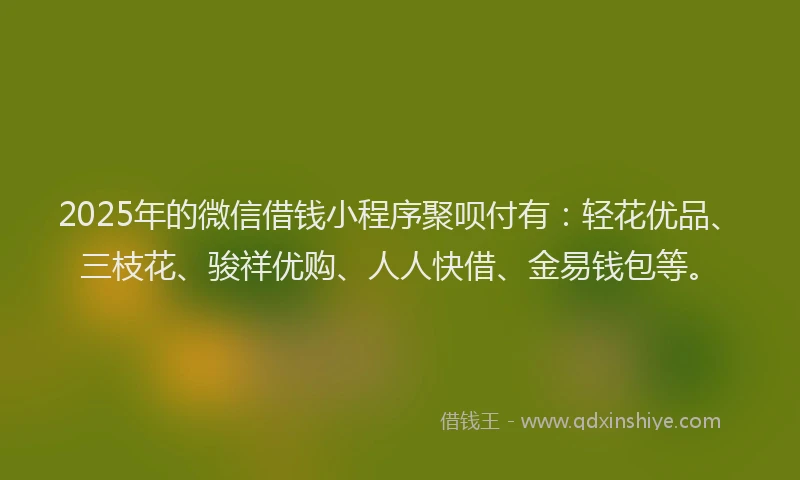 2025年的微信借钱小程序聚呗付有：轻花优品、三枝花、骏祥优购、人人快借、金易钱包等。