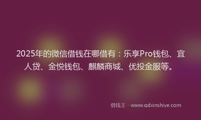 2025年的微信借钱在哪借有：乐享Pro钱包、宜人贷、金悦钱包、麒麟商城、优投金服等。