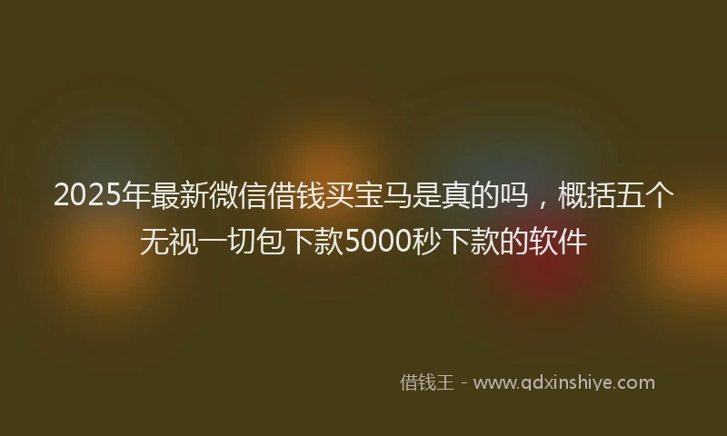 2025年最新微信借钱买宝马是真的吗，概括五个无视一切包下款5000秒下款的软件