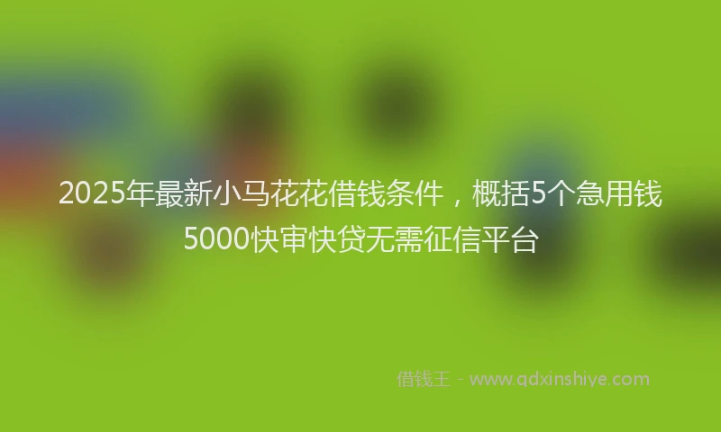 2025年最新小马花花借钱条件，概括5个急用钱5000快审快贷无需征信平台