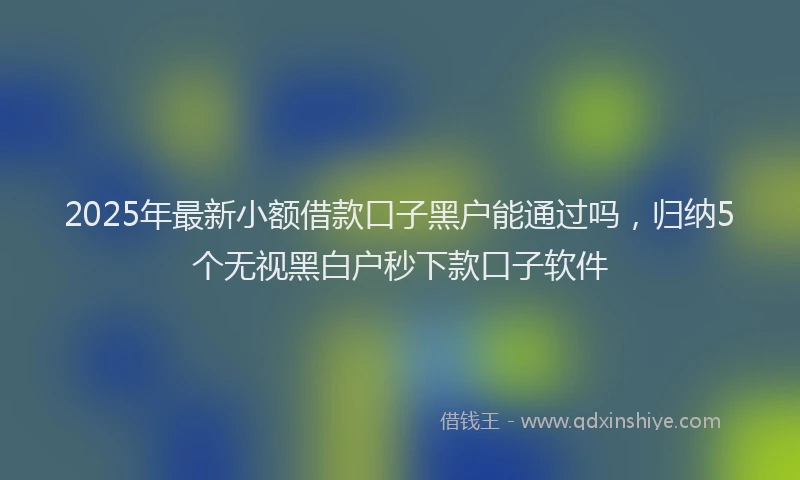2025年最新小额借款口子黑户能通过吗，归纳5个无视黑白户秒下款口子软件