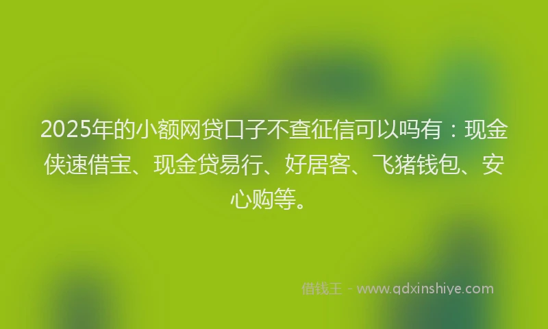 2025年的小额网贷口子不查征信可以吗有：现金侠速借宝、现金贷易行、好居客、飞猪钱包、安心购等。