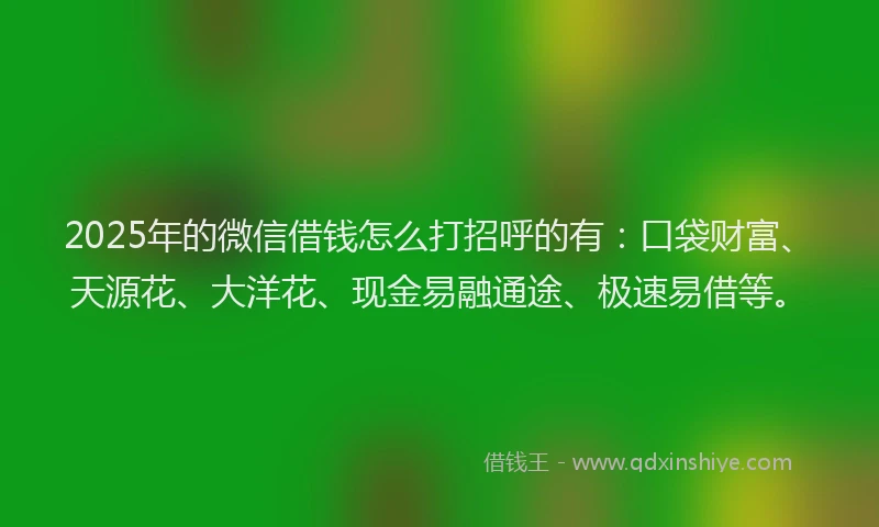 2025年的微信借钱怎么打招呼的有：口袋财富、天源花、大洋花、现金易融通途、极速易借等。