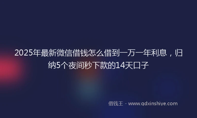 2025年最新微信借钱怎么借到一万一年利息，归纳5个夜间秒下款的14天口子