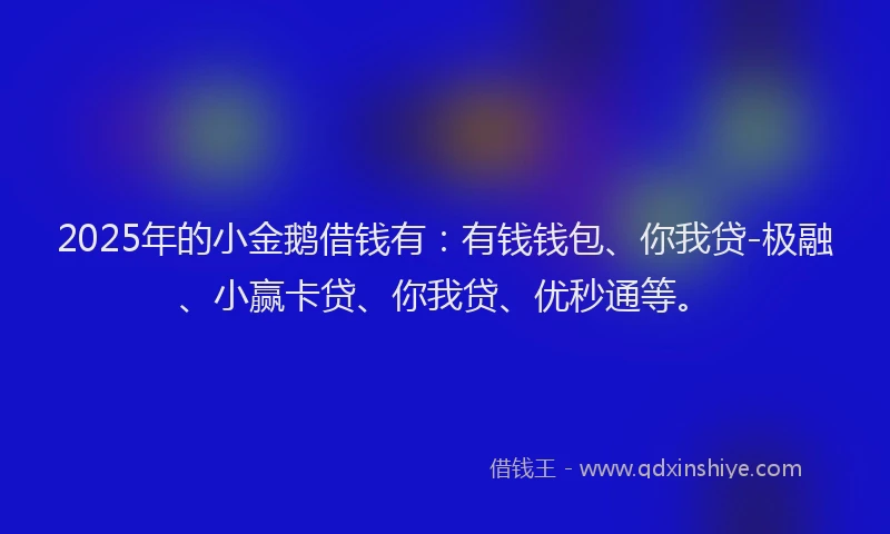 2025年的小金鹅借钱有：有钱钱包、你我贷-极融、小赢卡贷、你我贷、优秒通等。