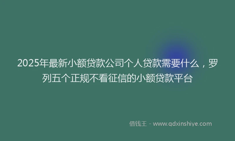 2025年最新小额贷款公司个人贷款需要什么，罗列五个正规不看征信的小额贷款平台