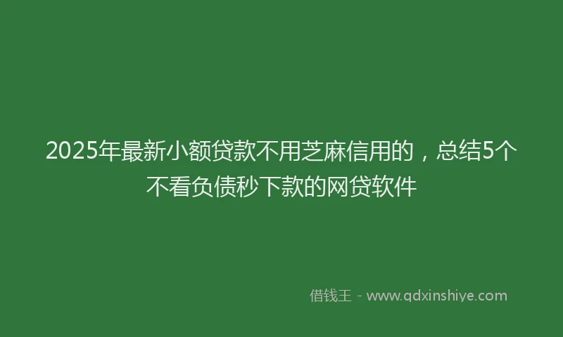 2025年最新小额贷款不用芝麻信用的，总结5个不看负债秒下款的网贷软件