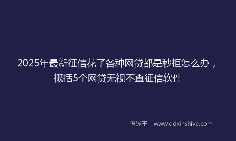 2025年最新征信花了各种网贷都是秒拒怎么办，概括5个网贷无视不查征信软件