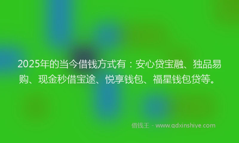 2025年的当今借钱方式有：安心贷宝融、独品易购、现金秒借宝途、悦享钱包、福星钱包贷等。