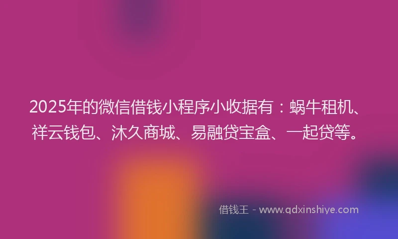 2025年的微信借钱小程序小收据有：蜗牛租机、祥云钱包、沐久商城、易融贷宝盒、一起贷等。