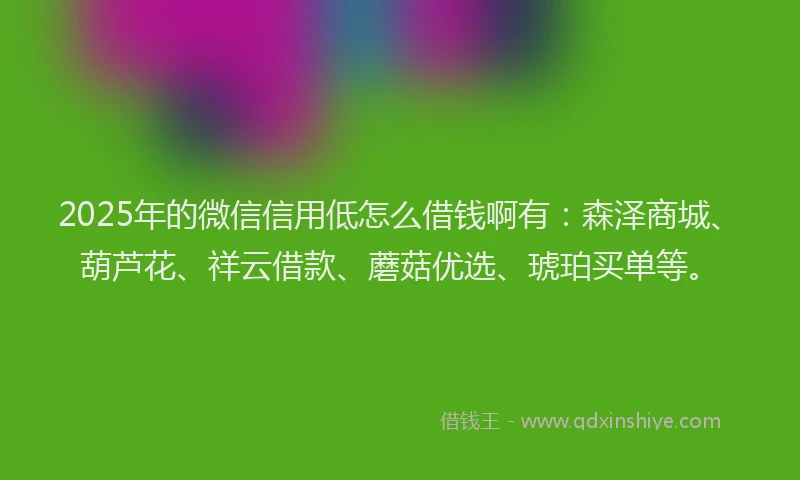 2025年的微信信用低怎么借钱啊有：森泽商城、葫芦花、祥云借款、蘑菇优选、琥珀买单等。