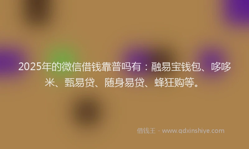 2025年的微信借钱靠普吗有：融易宝钱包、哆哆米、甄易贷、随身易贷、蜂狂购等。