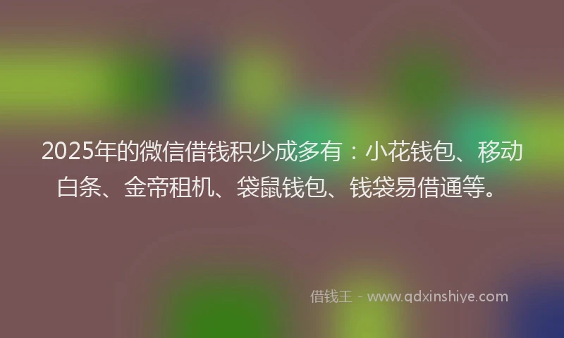 2025年的微信借钱积少成多有：小花钱包、移动白条、金帝租机、袋鼠钱包、钱袋易借通等。