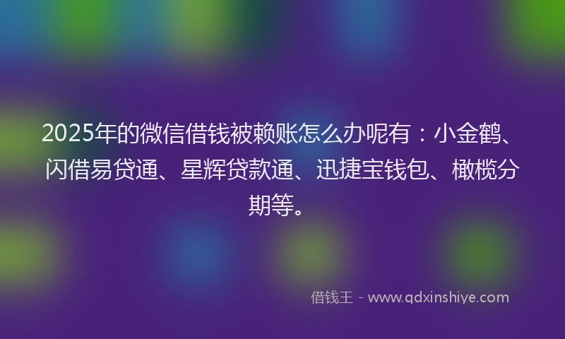 2025年的微信借钱被赖账怎么办呢有：小金鹤、闪借易贷通、星辉贷款通、迅捷宝钱包、橄榄分期等。