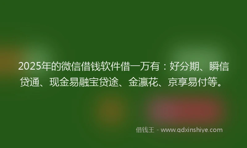 2025年的微信借钱软件借一万有：好分期、瞬信贷通、现金易融宝贷途、金瀛花、京享易付等。
