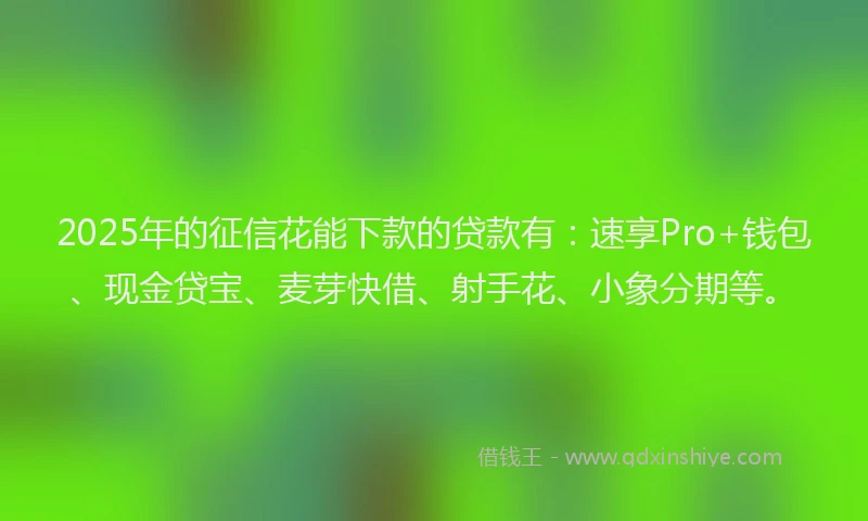 2025年的征信花能下款的贷款有：速享Pro+钱包、现金贷宝、麦芽快借、射手花、小象分期等。