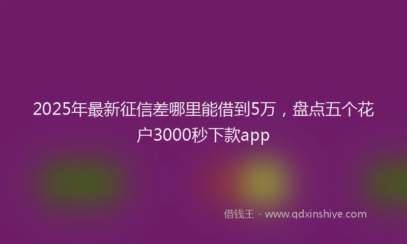 2025年最新征信差哪里能借到5万，盘点五个花户3000秒下款app