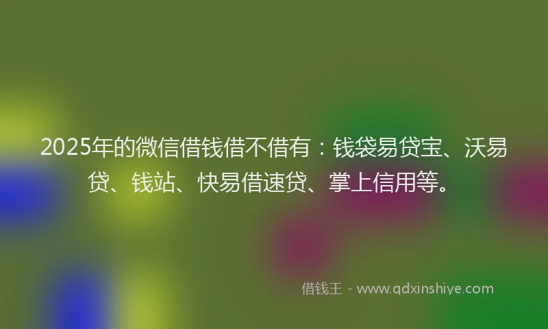 2025年的微信借钱借不借有：钱袋易贷宝、沃易贷、钱站、快易借速贷、掌上信用等。