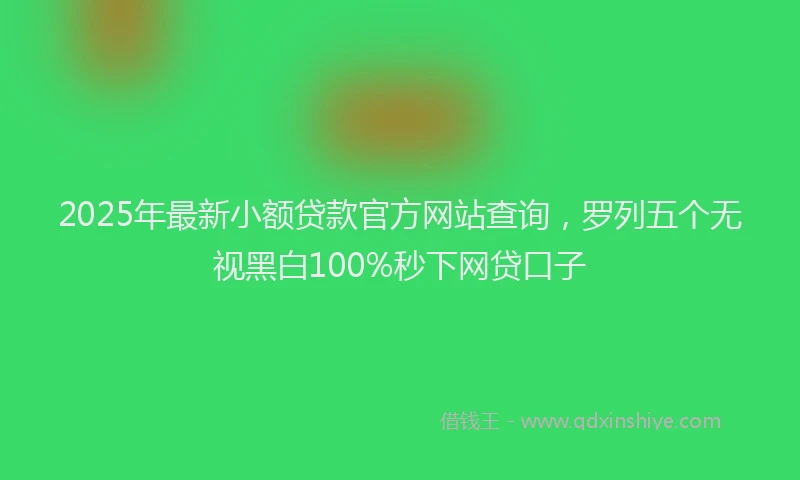 2025年最新小额贷款官方网站查询，罗列五个无视黑白100%秒下网贷口子