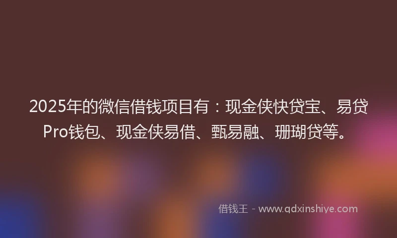 2025年的微信借钱项目有：现金侠快贷宝、易贷Pro钱包、现金侠易借、甄易融、珊瑚贷等。