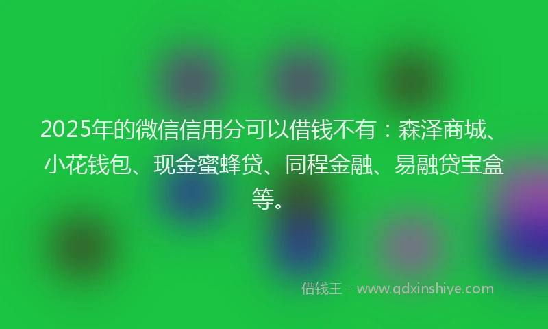 2025年的微信信用分可以借钱不有：森泽商城、小花钱包、现金蜜蜂贷、同程金融、易融贷宝盒等。