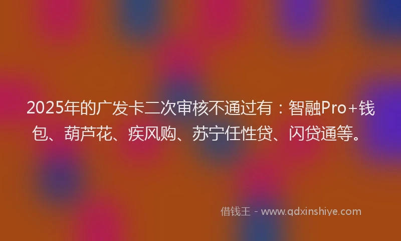 2025年的广发卡二次审核不通过有：智融Pro+钱包、葫芦花、疾风购、苏宁任性贷、闪贷通等。