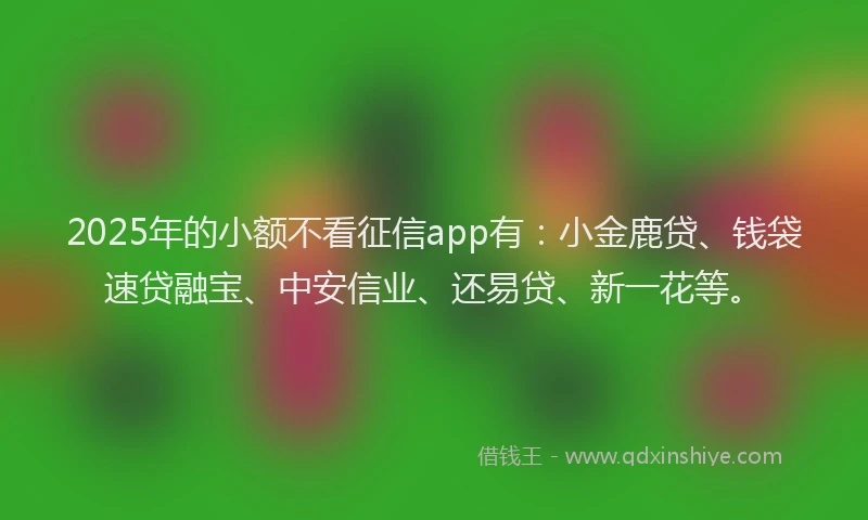 2025年的小额不看征信app有：小金鹿贷、钱袋速贷融宝、中安信业、还易贷、新一花等。