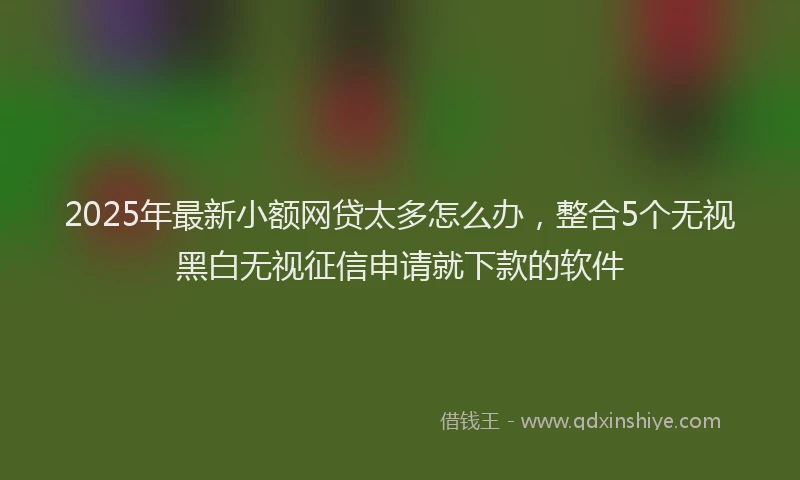 2025年最新小额网贷太多怎么办，整合5个无视黑白无视征信申请就下款的软件