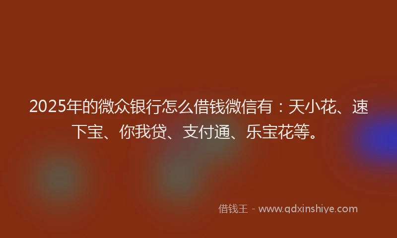 2025年的微众银行怎么借钱微信有：天小花、速下宝、你我贷、支付通、乐宝花等。