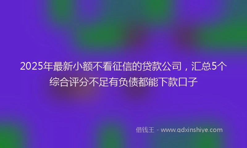 2025年最新小额不看征信的贷款公司，汇总5个综合评分不足有负债都能下款口子
