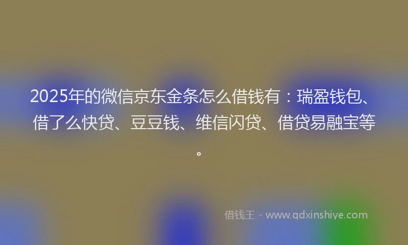 2025年的微信京东金条怎么借钱有：瑞盈钱包、借了么快贷、豆豆钱、维信闪贷、借贷易融宝等。