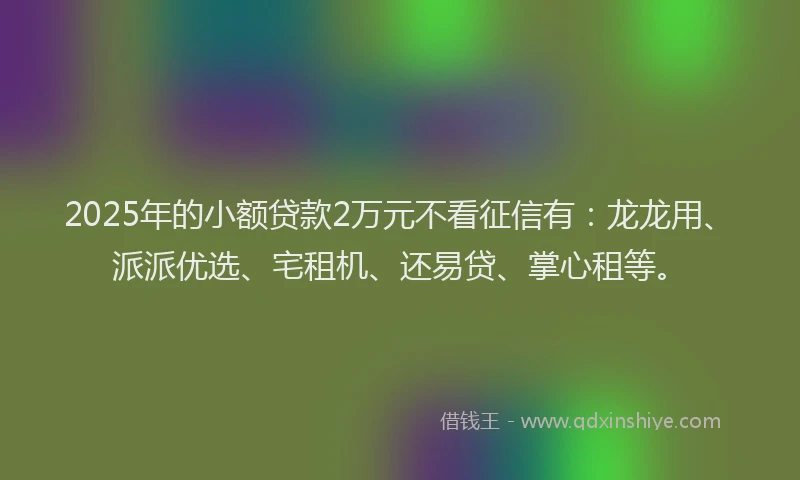 2025年的小额贷款2万元不看征信有：龙龙用、派派优选、宅租机、还易贷、掌心租等。
