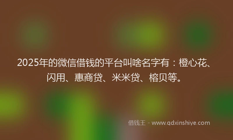 2025年的微信借钱的平台叫啥名字有：橙心花、闪用、惠商贷、米米贷、榕贝等。
