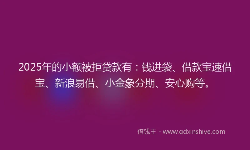 2025年的小额被拒贷款有：钱进袋、借款宝速借宝、新浪易借、小金象分期、安心购等。