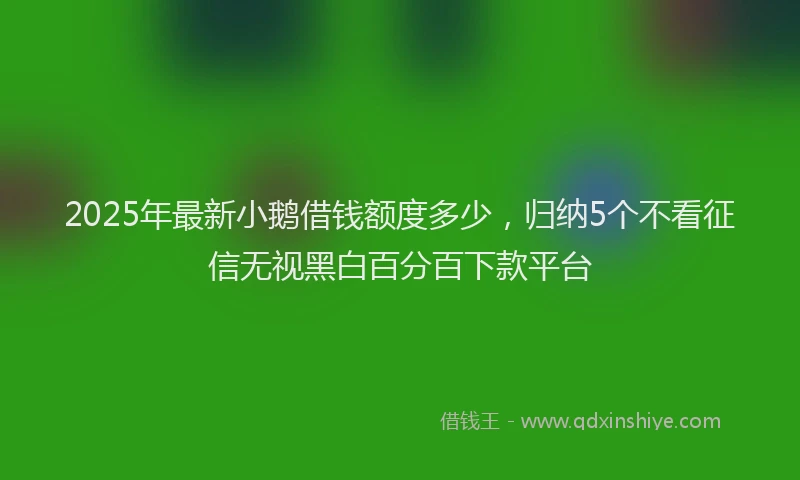 2025年最新小鹅借钱额度多少，归纳5个不看征信无视黑白百分百下款平台