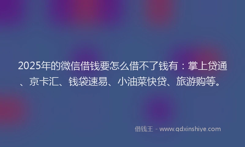 2025年的微信借钱要怎么借不了钱有：掌上贷通、京卡汇、钱袋速易、小油菜快贷、旅游购等。