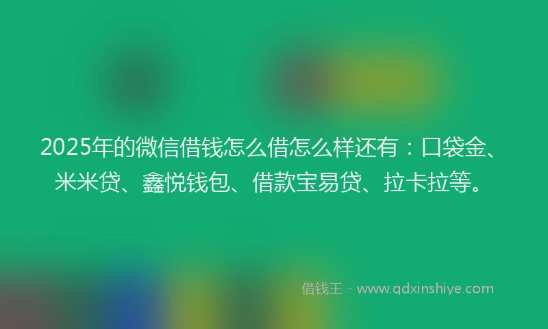 2025年的微信借钱怎么借怎么样还有：口袋金、米米贷、鑫悦钱包、借款宝易贷、拉卡拉等。