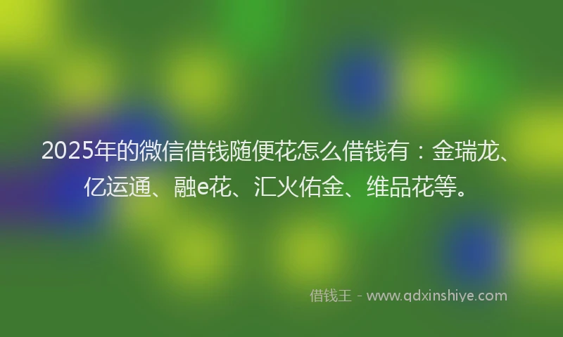 2025年的微信借钱随便花怎么借钱有：金瑞龙、亿运通、融e花、汇火佑金、维品花等。