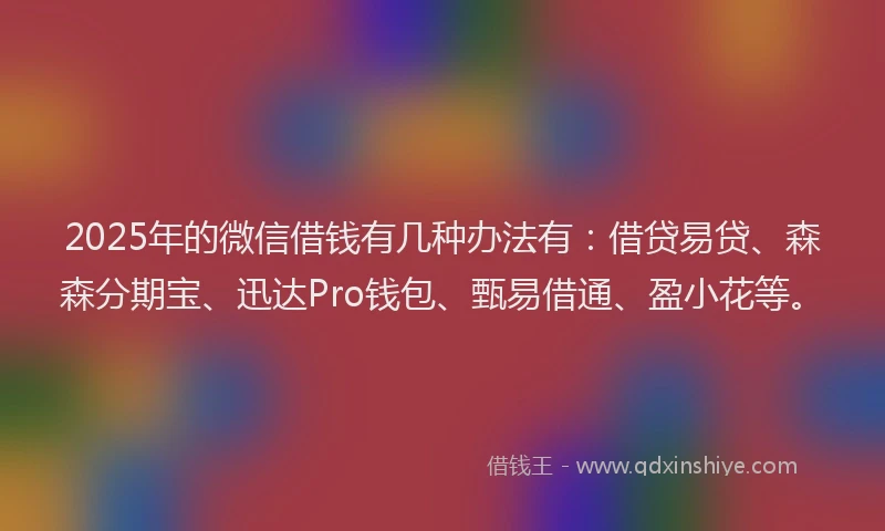 2025年的微信借钱有几种办法有：借贷易贷、森森分期宝、迅达Pro钱包、甄易借通、盈小花等。