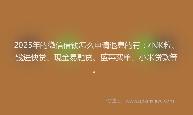2025年的微信借钱怎么申请退息的有：小米粒、钱进快贷、现金易融贷、蓝莓买单、小米贷款等。