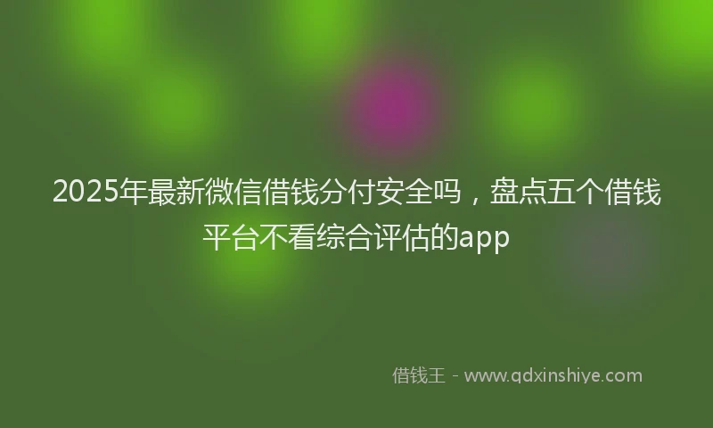 2025年最新微信借钱分付安全吗，盘点五个借钱平台不看综合评估的app