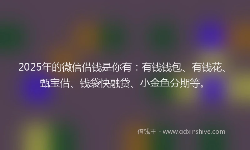 2025年的微信借钱是你有：有钱钱包、有钱花、甄宝借、钱袋快融贷、小金鱼分期等。