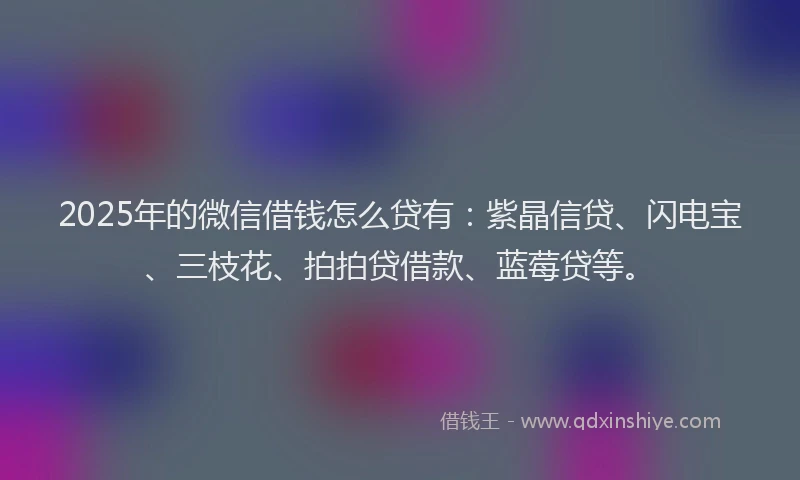 2025年的微信借钱怎么贷有：紫晶信贷、闪电宝、三枝花、拍拍贷借款、蓝莓贷等。