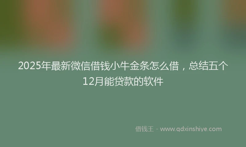 2025年最新微信借钱小牛金条怎么借，总结五个12月能贷款的软件