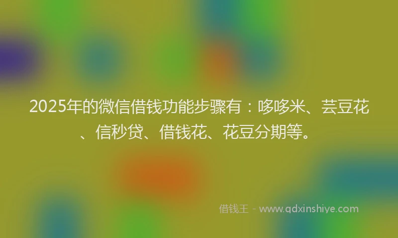 2025年的微信借钱功能步骤有：哆哆米、芸豆花、信秒贷、借钱花、花豆分期等。